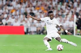 域与文化界 域与文化界